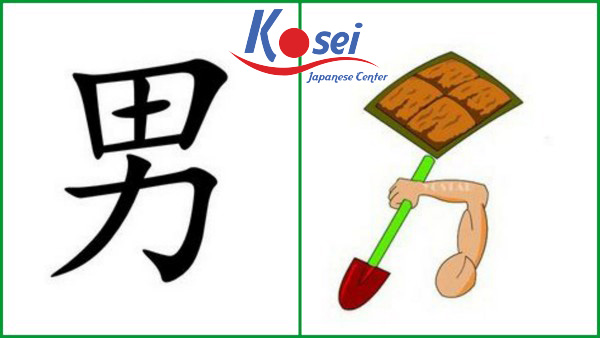 Từ vựng Kanji liên quan đến “Nam” (男)